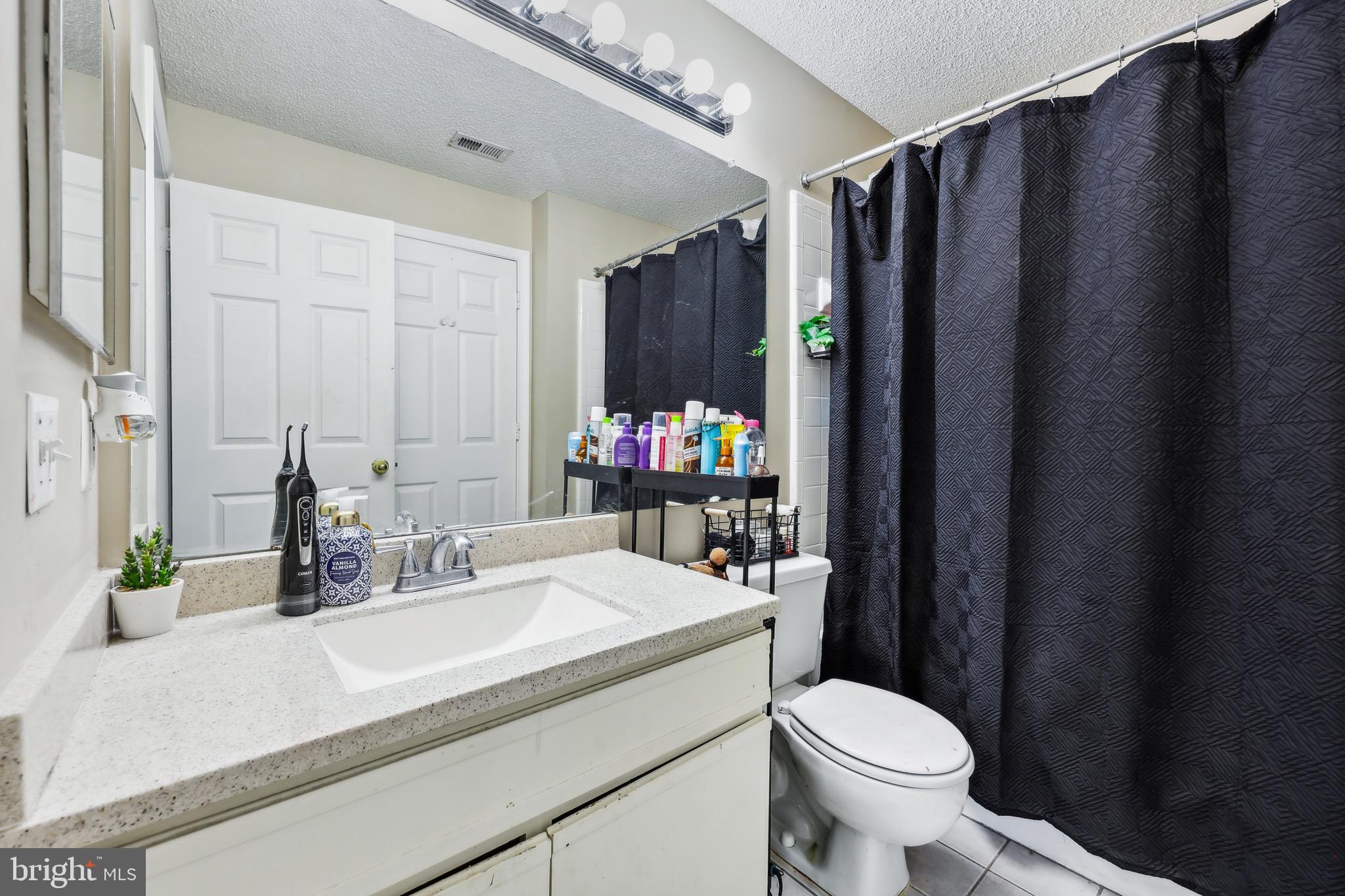 3805 Green Ridge Court, Unit 201 Fairfax, VA 22033 - Photo 16 of 25 a bathroom with a sink toilet and shower