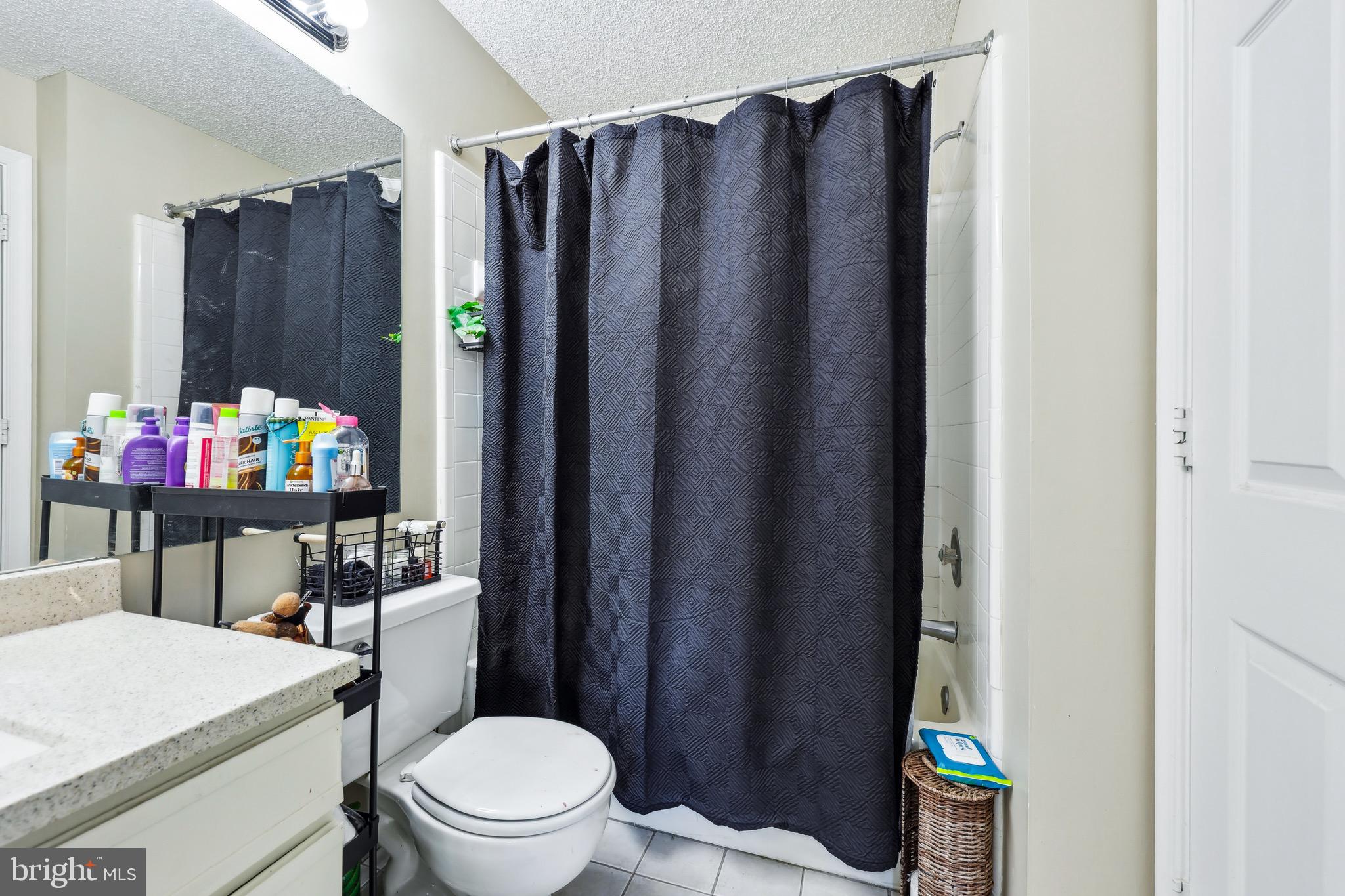 3805 Green Ridge Court, Unit 201 Fairfax, VA 22033 - Photo 18 of 25 a bathroom with a toilet a sink and curtain