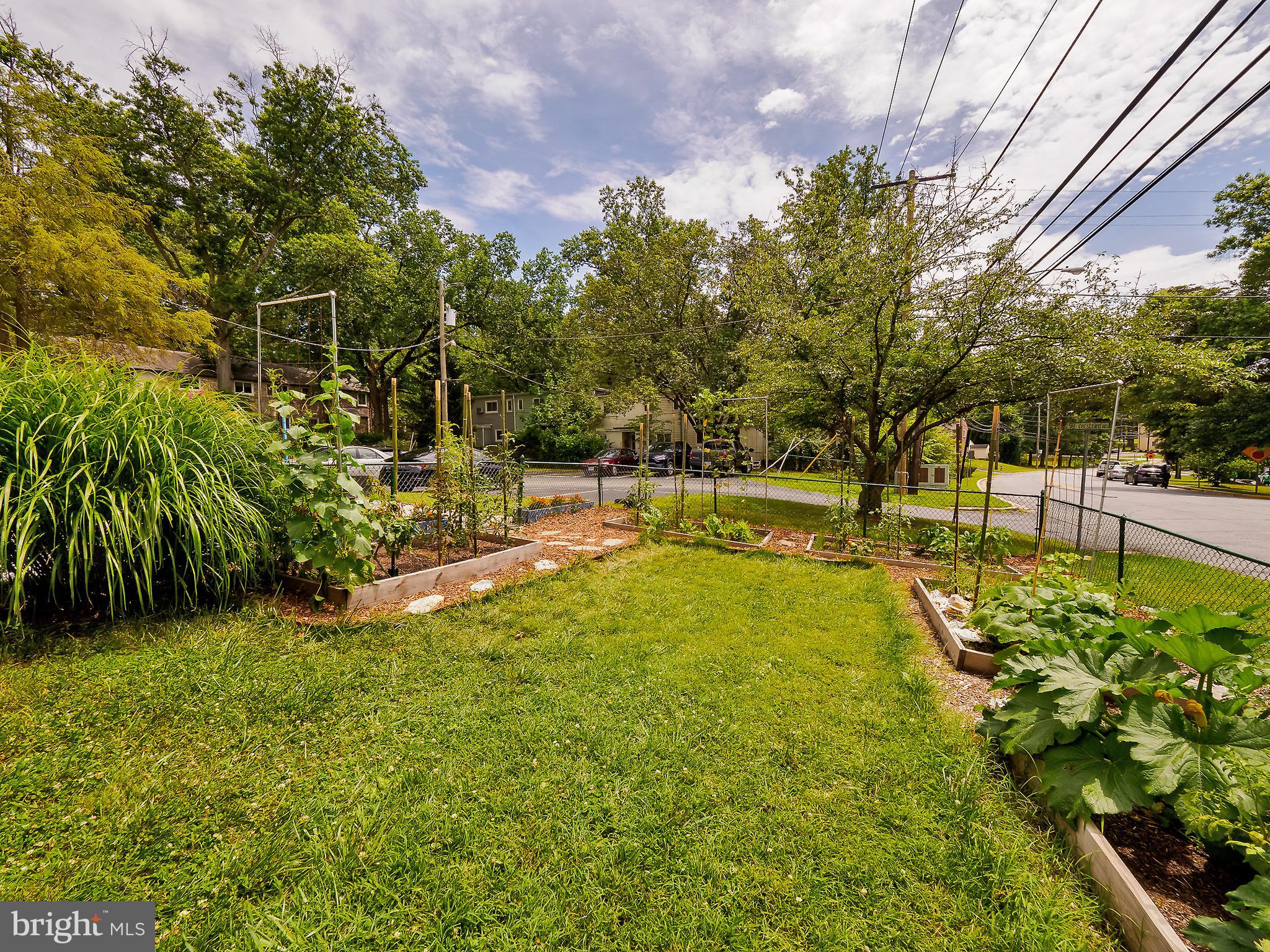 58 Crescent Road Greenbelt, MD 20770 - Photo 27 of 34 Garden