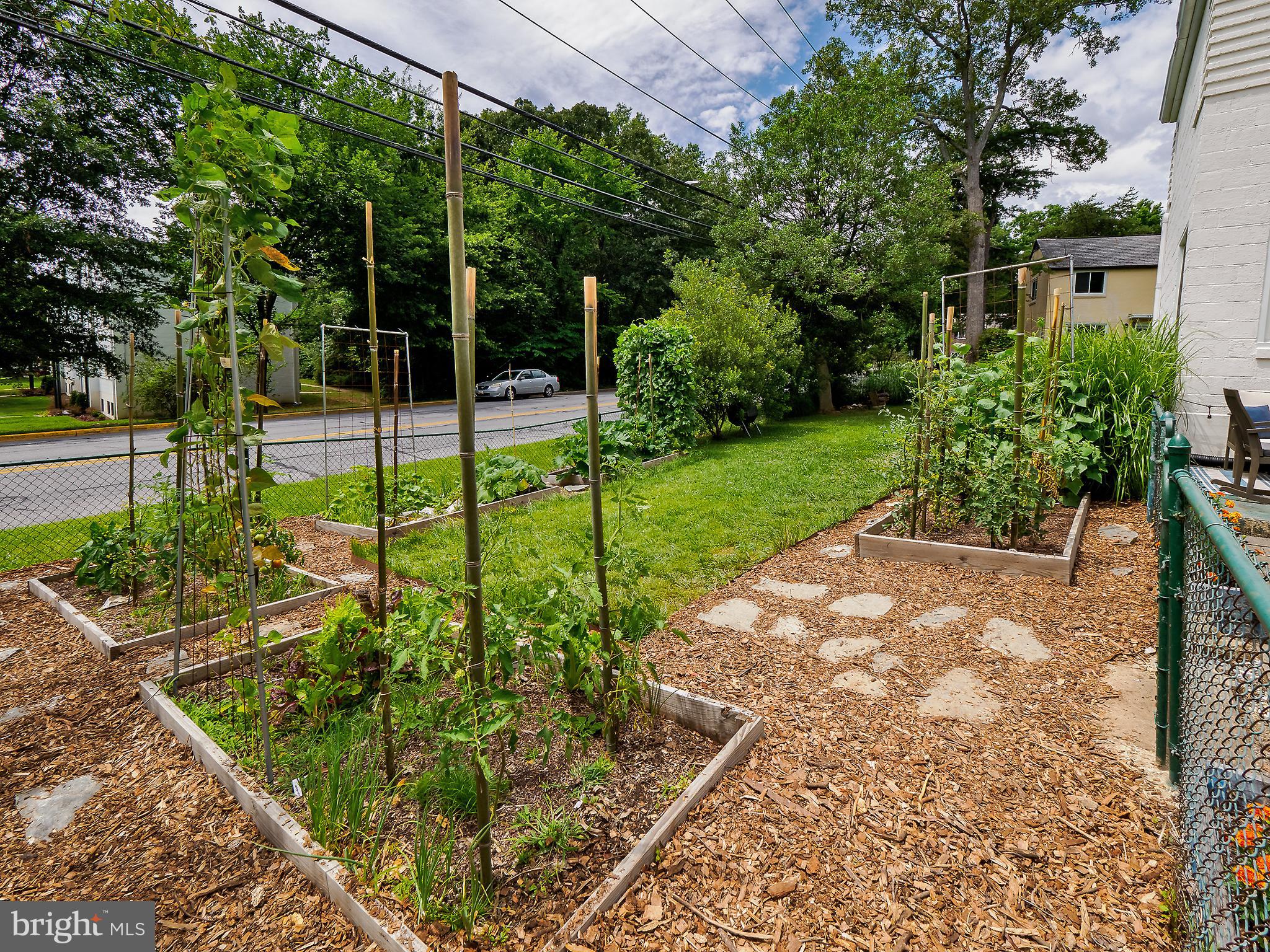 58 Crescent Road Greenbelt, MD 20770 - Photo 29 of 34 Garden