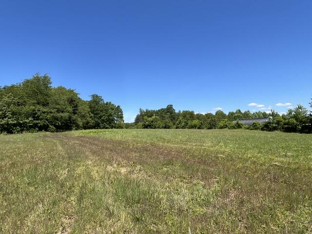 362 Cullen Savage Road Palmer, TN 37365 - Photo 52 of 76 IMG_7189