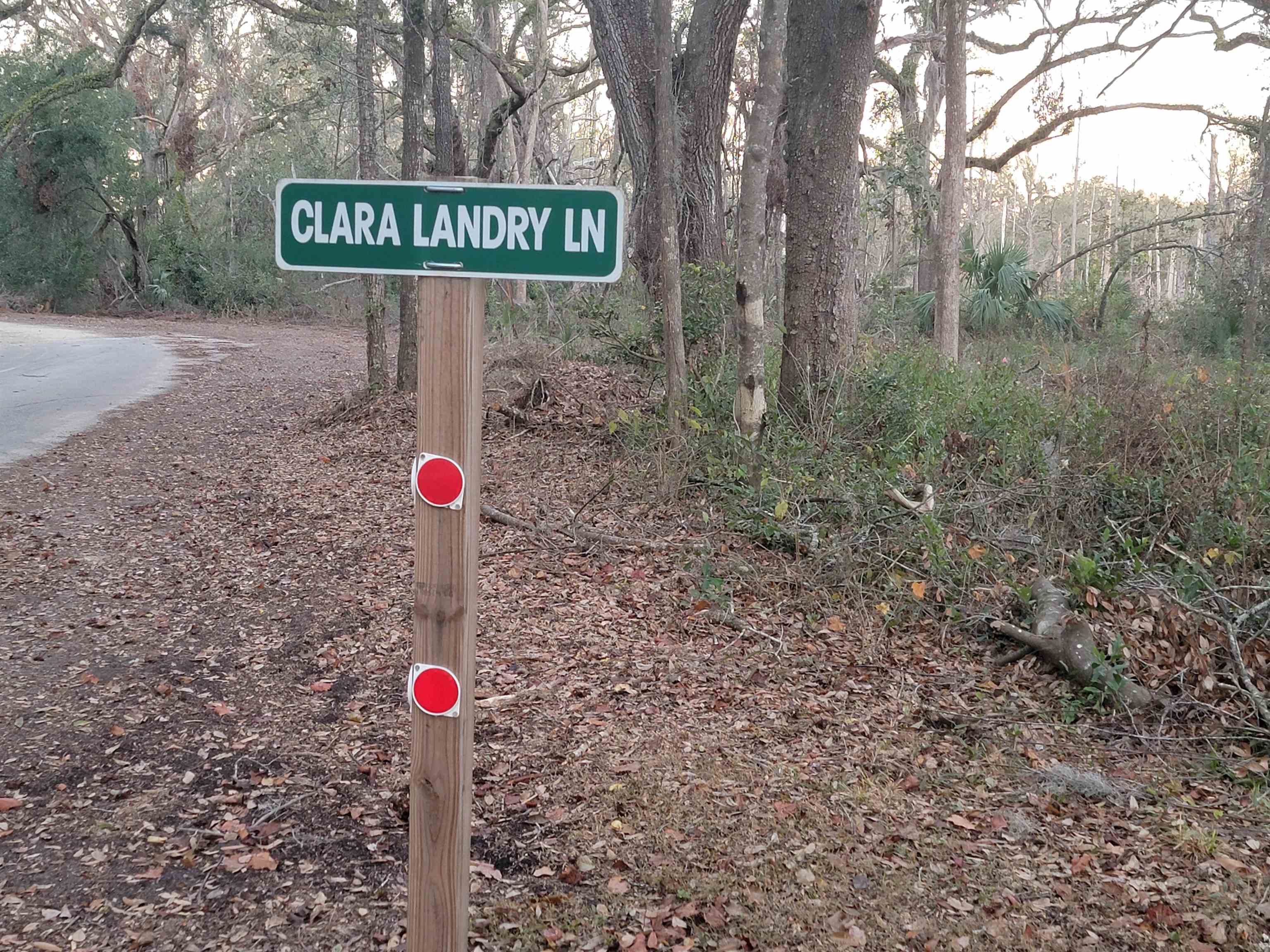 0 Landry Road Perry, FL 32348 - Photo 7 of 7