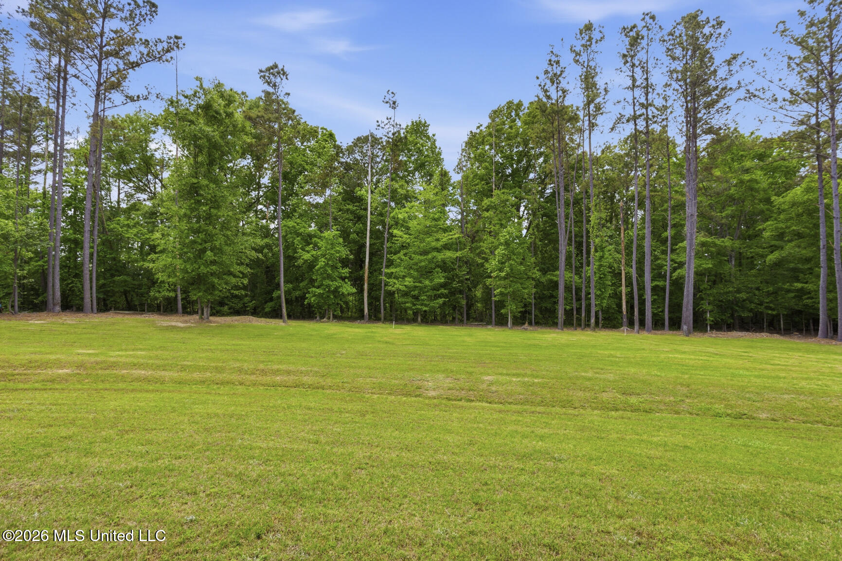 154 Fallen Oak Drive Brandon, MS 39047 - Photo 45 of 47 154 Fallen Oak-38