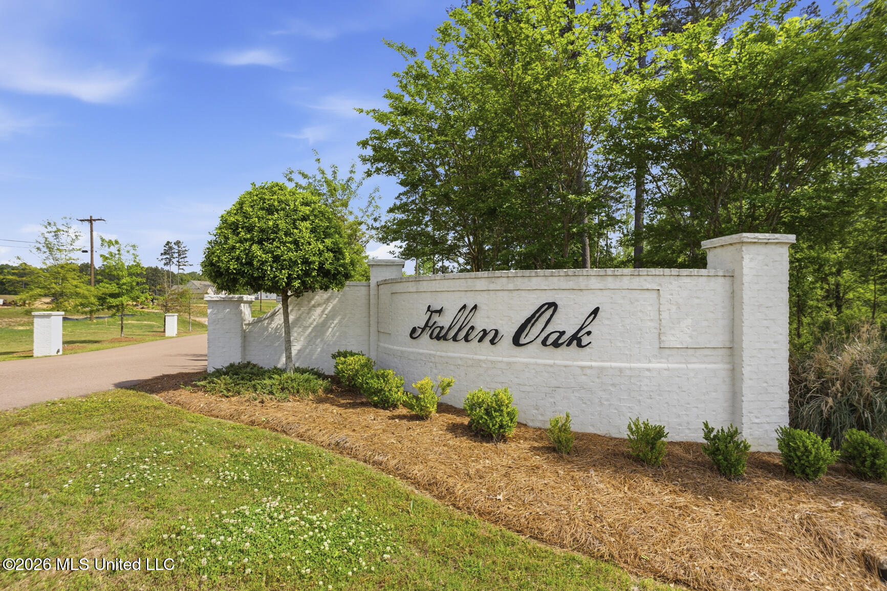 154 Fallen Oak Drive Brandon, MS 39047 - Photo 7 of 47 154 Fallen Oak-41