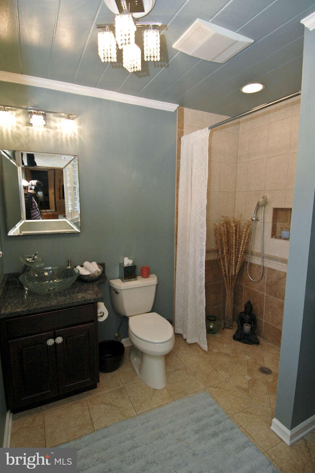 1225 Potomac School Road McLean, VA 22101 - Photo 17 of 25 Bath