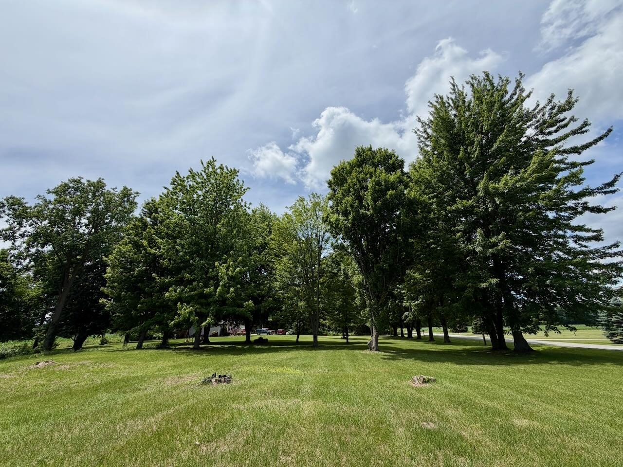12301 Niblok Road Chesaning, MI 48616 - Photo 9 of 33