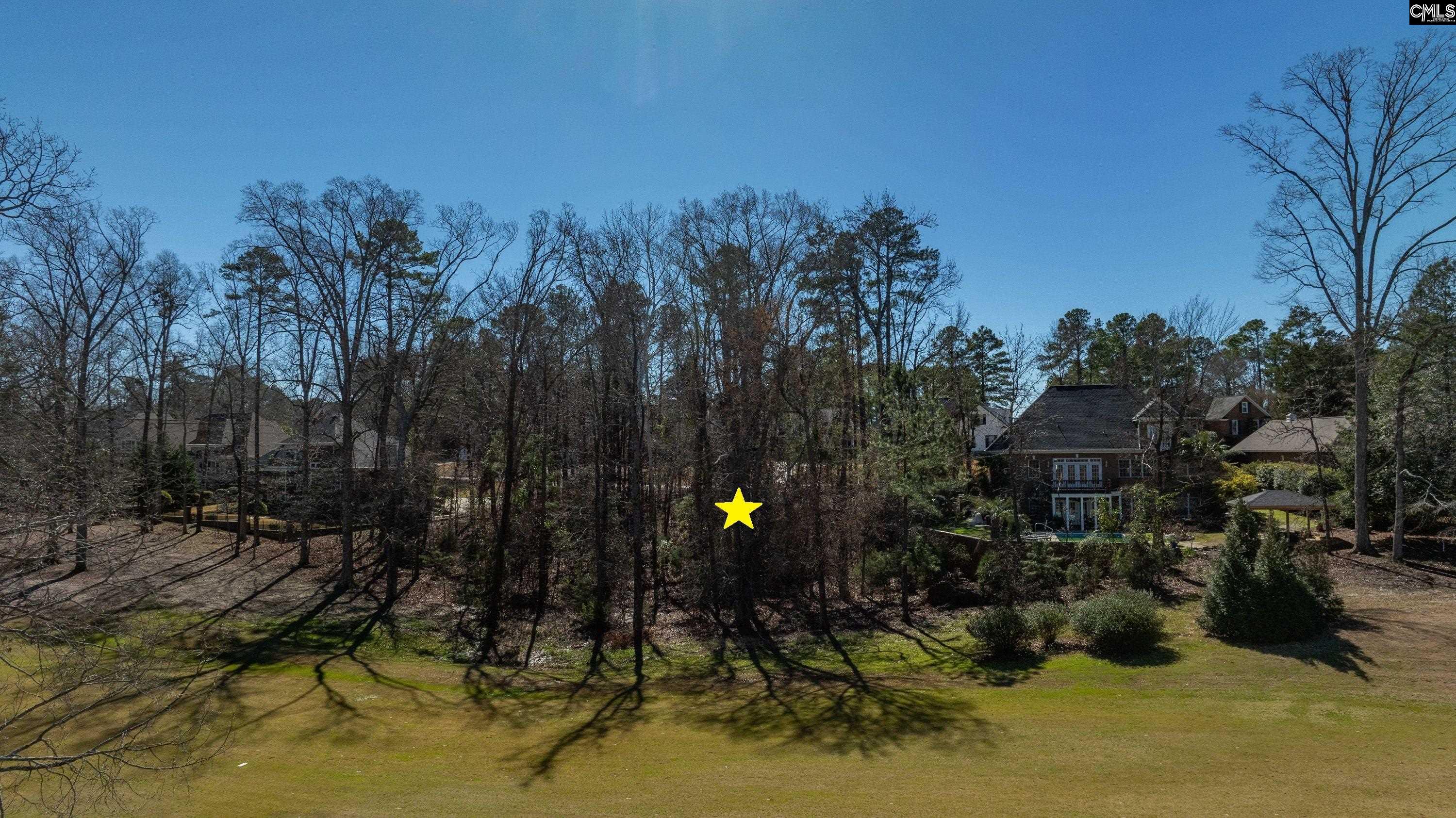 329 Oxenbridge Way Chapin, SC 29036 - Photo 11 of 29