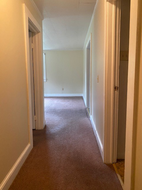 137 Elliott Hurt Road Kenbridge, VA 23944 - Photo 27 of 29 Gallery Image 27