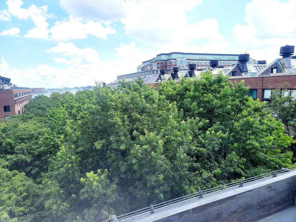 42 8th Street, Unit 2515 Boston, MA 02129 - Photo 27 of 29 a view of a big yard with a view of a building