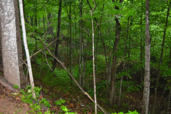 $695,000 | 19767 County Highway East, Richland Center, WI 53581