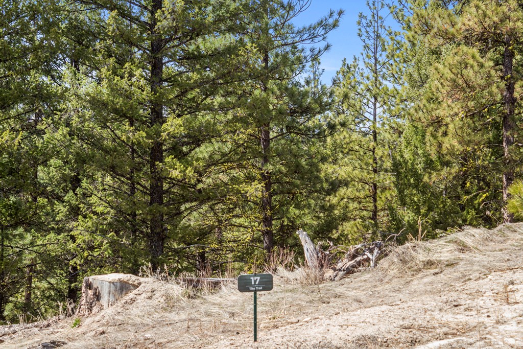17 Tito Trail, Unit 1 Cascade, ID 83611 - Photo 12 of 16 17 Tito Trail