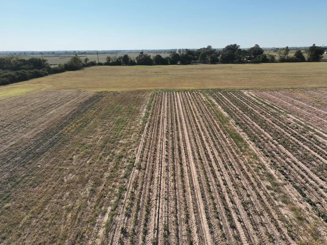 14126 Penick Road Waller, TX 77484 - Photo 2 of 2
