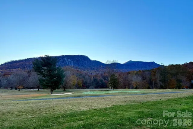 a view of a grassy field with an trees