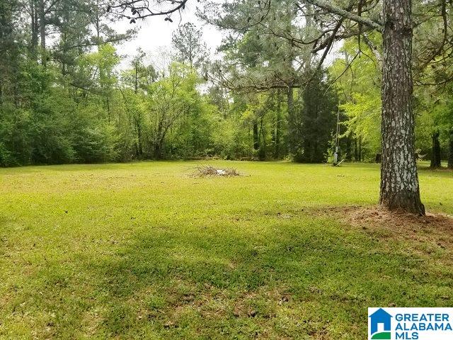 7664 Highway 204 Jacksonville, AL 36265 - Photo 19 of 21