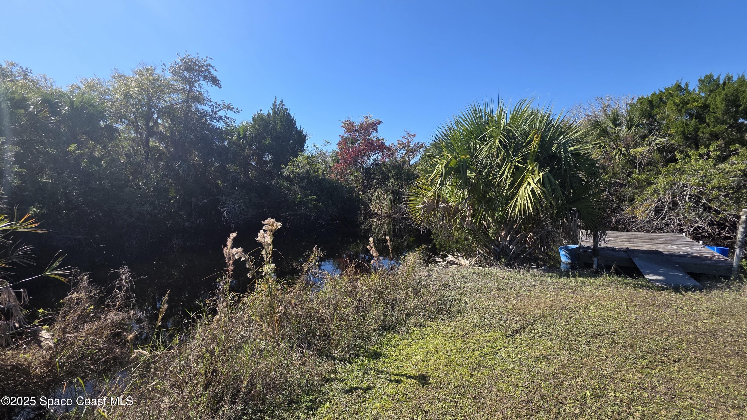 875 Pine Island Road Merritt Island, FL 32953 - Photo 23 of 24 a view of a backyard