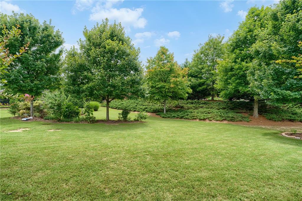 4735 Amble Trace Cumming, GA 30040 - Photo 58 of 73 a view of a big yard with plants and large trees