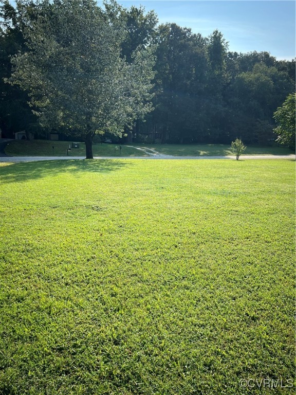 255 Rainwater Drive Aylett, VA 23009 - Photo 10 of 30 a view of a swimming pool and trees in the background