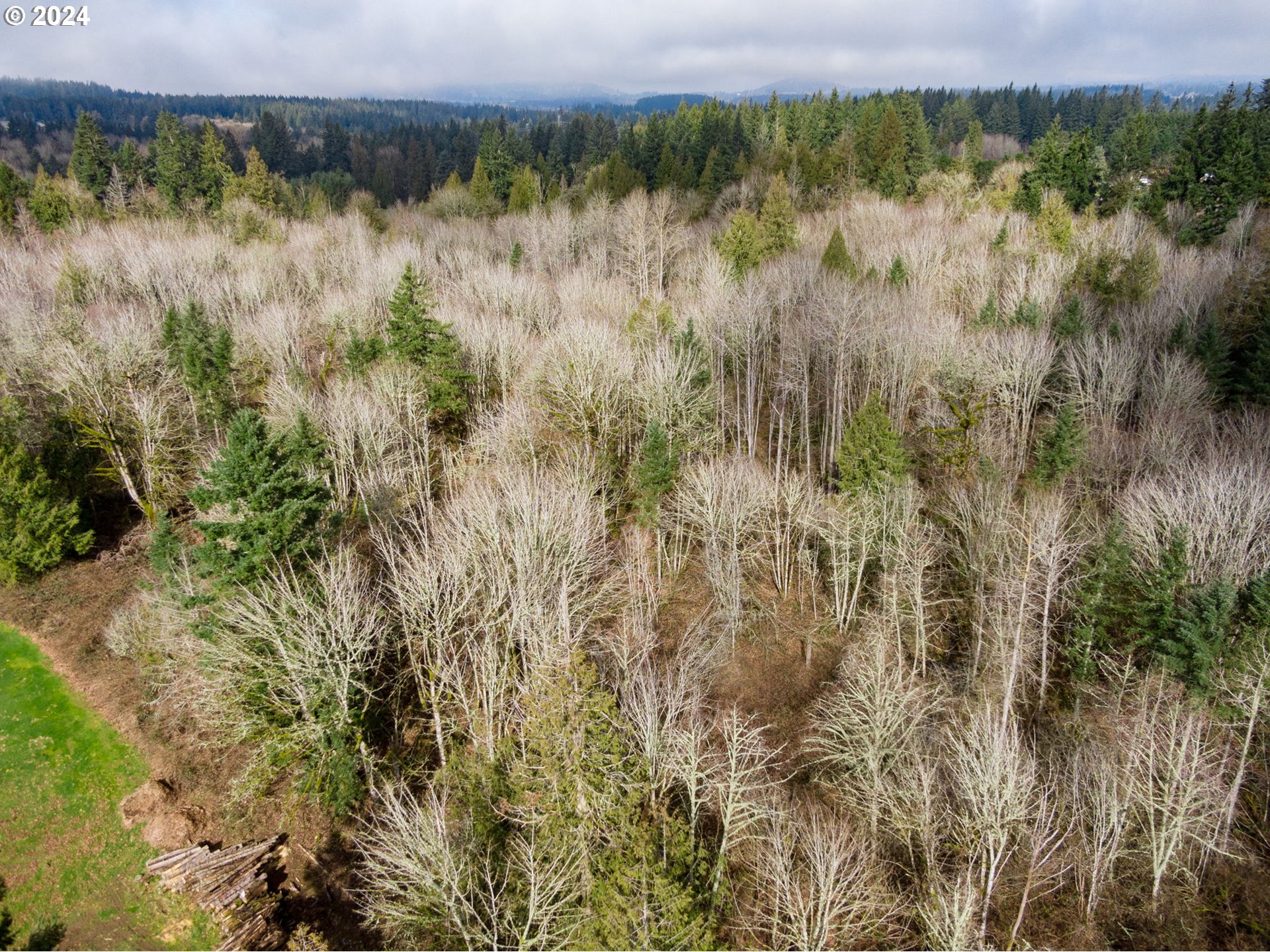 33821 Southeast Gunderson Road Sandy, OR 97055 - Photo 40 of 44