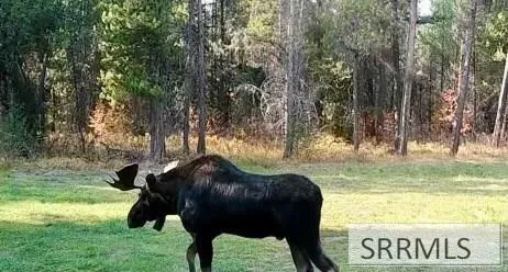 $225,000 | 1582 Maggie Lane, Ashton, ID 83420