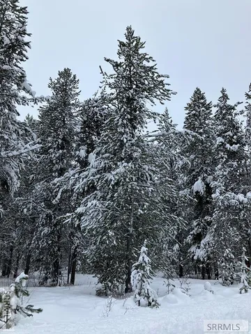 $225,000 | 1582 Maggie Lane, Ashton, ID 83420