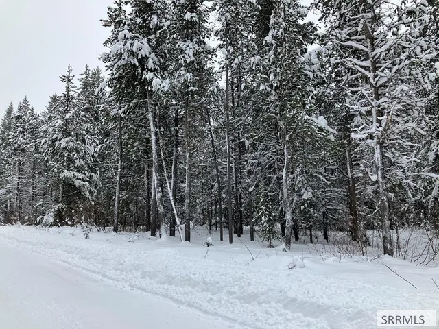 $225,000 | 1582 Maggie Lane, Ashton, ID 83420