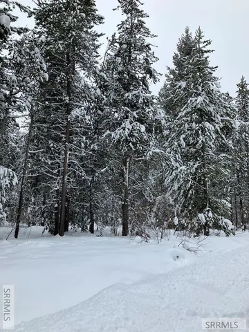 $225,000 | 1582 Maggie Lane, Ashton, ID 83420