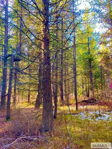 $225,000 | 1582 Maggie Lane, Ashton, ID 83420