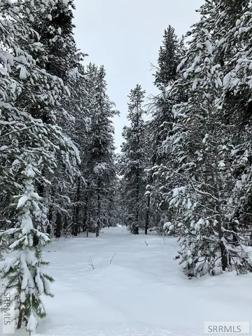 $225,000 | 1582 Maggie Lane, Ashton, ID 83420