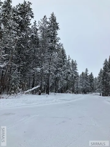 $225,000 | 1582 Maggie Lane, Ashton, ID 83420