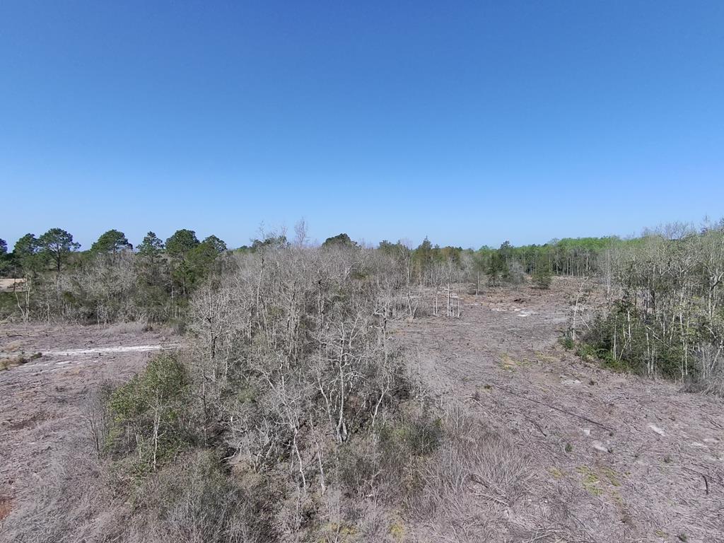 87 Highway 87 Samson, AL 36477 - Photo 25 of 47