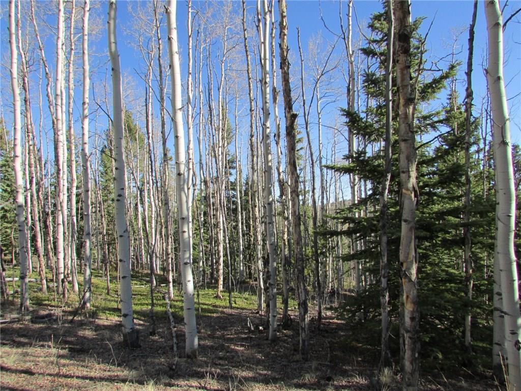 7002 Remington Road Como, CO 80432 - Photo 3 of 12 a view of a city with a plant