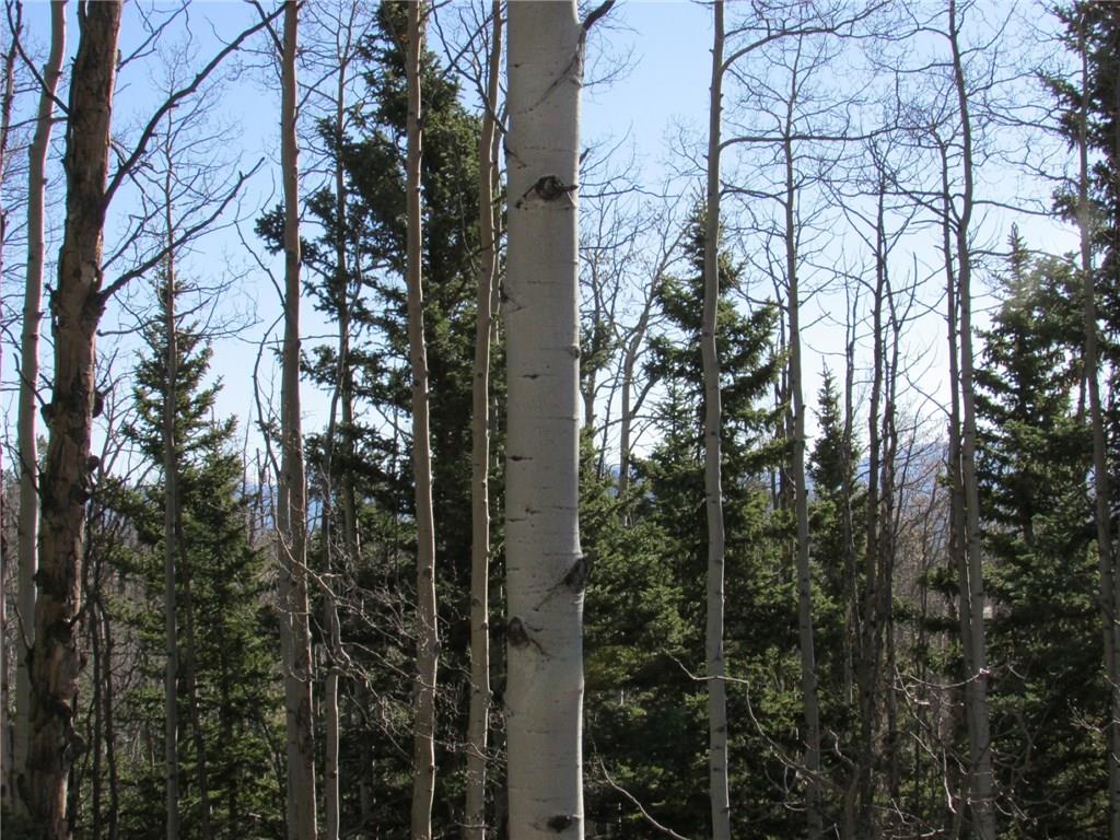 7002 Remington Road Como, CO 80432 - Photo 5 of 12 a view of forest