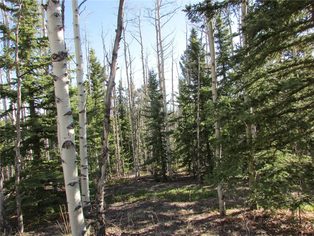 7002 Remington Road Como, CO 80432 - Photo 7 of 12 a view of outdoor space and trees