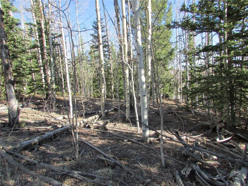 7002 Remington Road Como, CO 80432 - Photo 8 of 12 a view of a forest with a tree