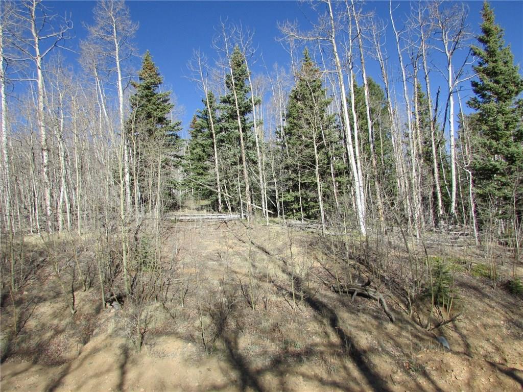 7002 Remington Road Como, CO 80432 - Photo 9 of 12 a view of outdoor space and garden