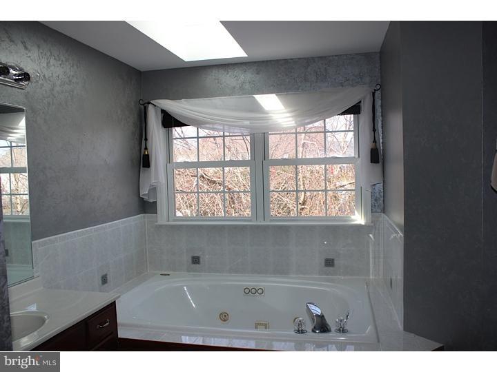 24 Virginia Avenue Sinking Spring, PA 19608 - Photo 18 of 25 Master Bathroom