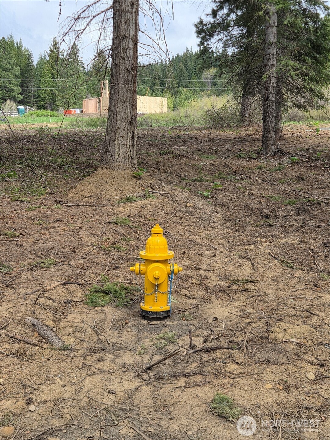 5 Double O Road Ronald, WA 98940 - Photo 3 of 26 a view of a lake with a tree