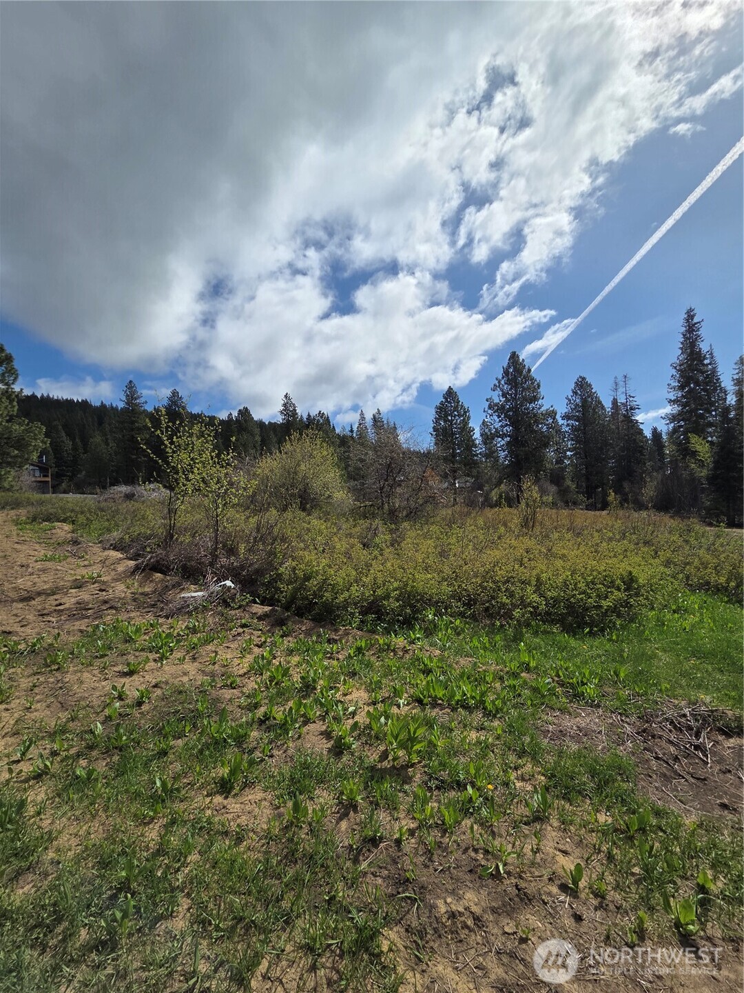 5 Double O Road Ronald, WA 98940 - Photo 10 of 26 a view of a field of grass and trees