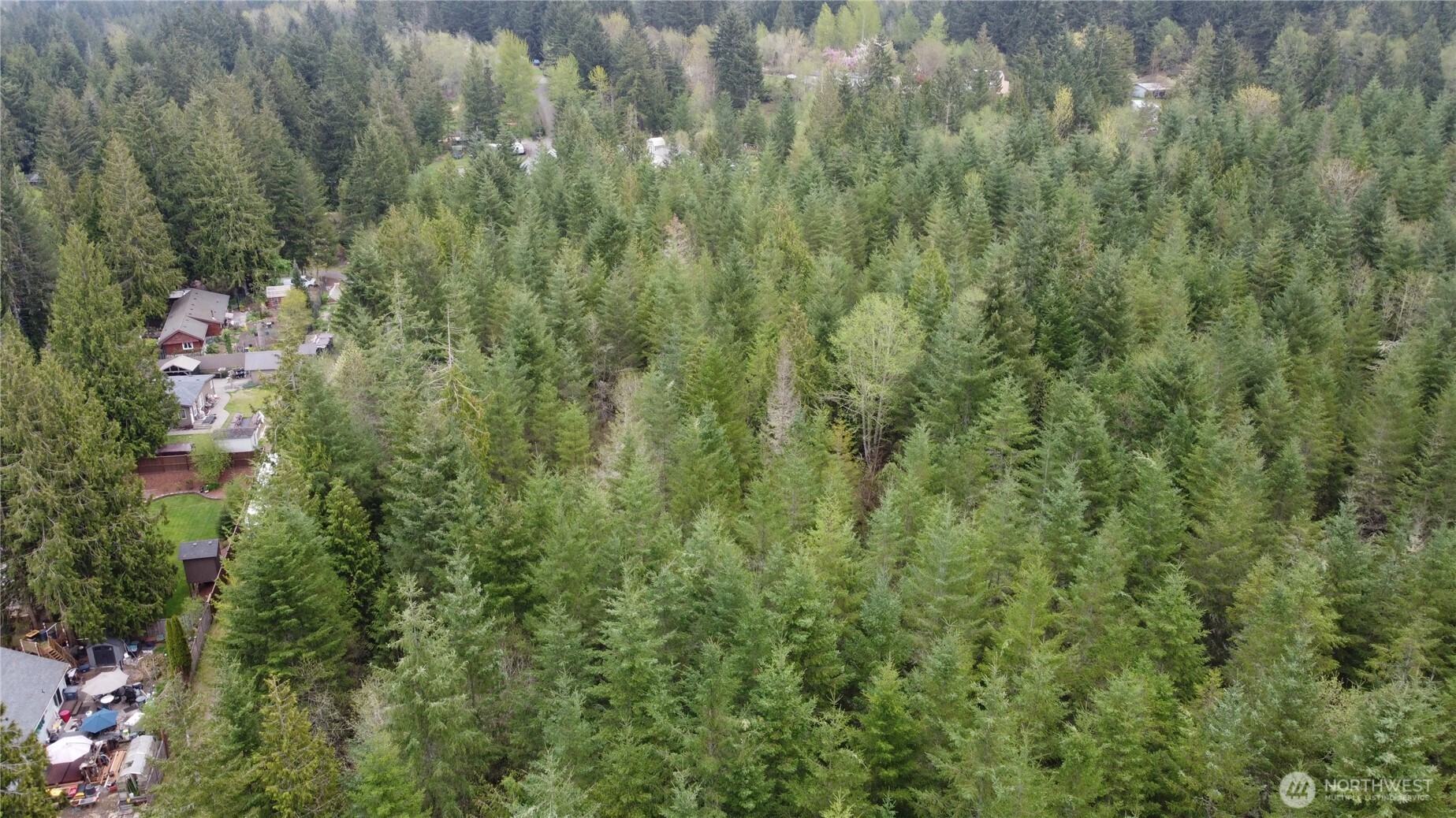 0 164th Street East Buckley, WA 98321 - Photo 5 of 9 a view of a forest with a houses
