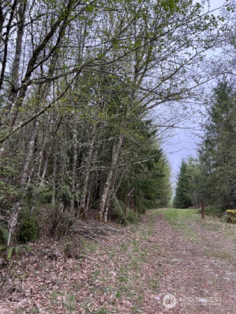 0 164th Street East Buckley, WA 98321 - Photo 6 of 9 a view of a forest with trees in the background