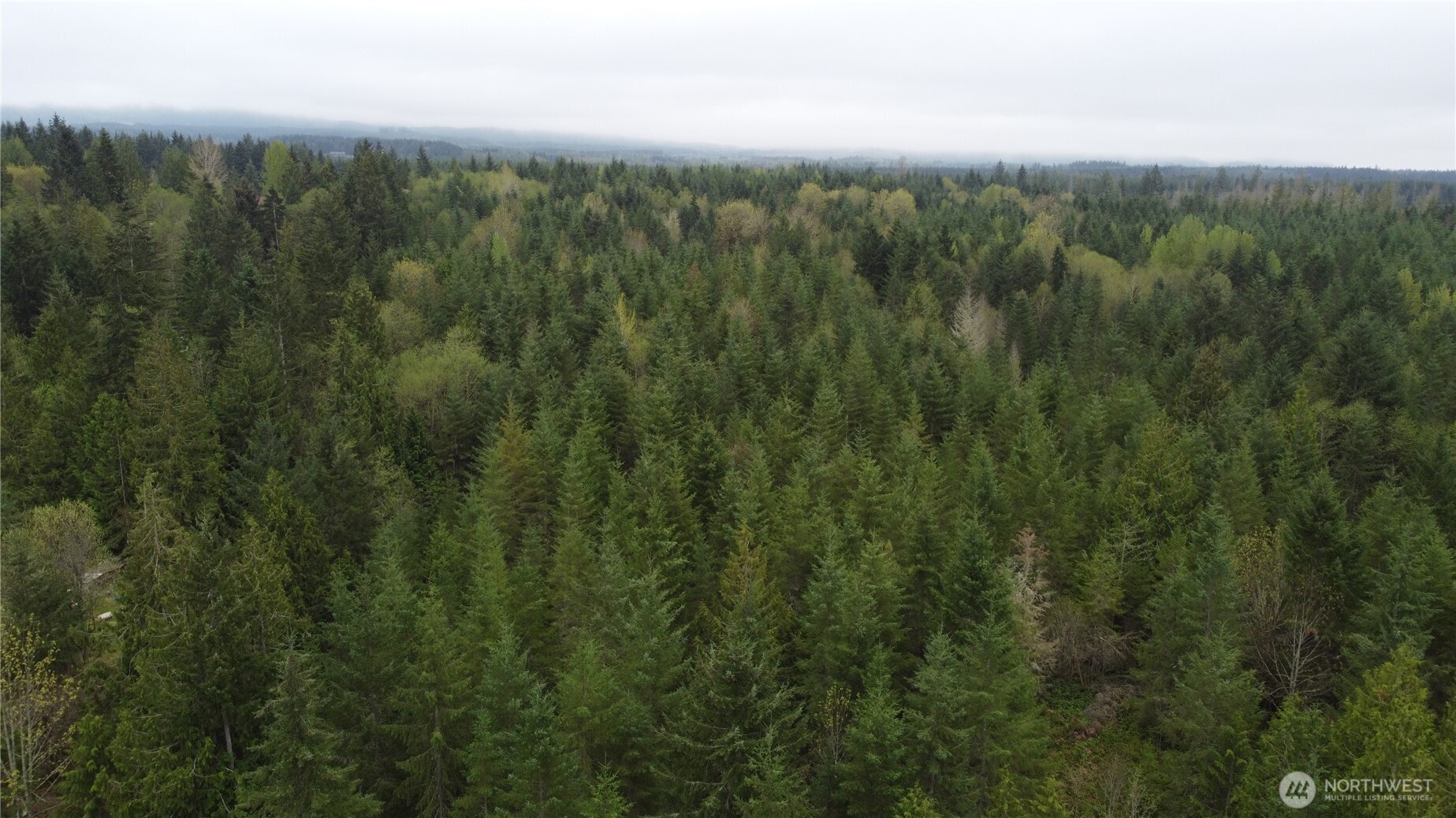 0 164th Street East Buckley, WA 98321 - Photo 8 of 9 a view of a green field with lots of bushes