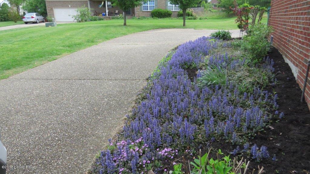 8328 Lacevine Road Louisville, KY 40220 - Photo 27 of 38 IMG_0001