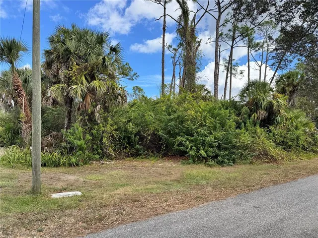 a view of backyard with green space
