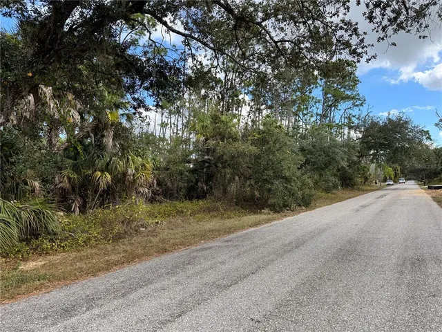 a view of a field with a tree