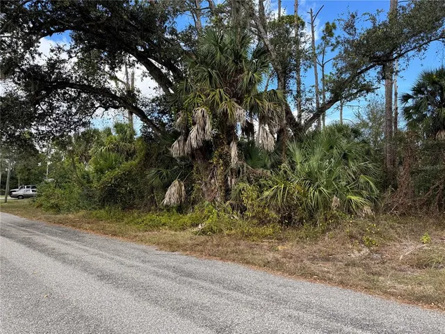 a view of backyard and bushes