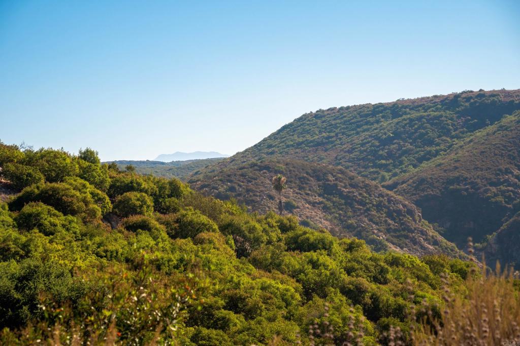 26 El Calamar Road Temecula, CA 92590 - Photo 31 of 33 a view of a mountain range with trees in the background