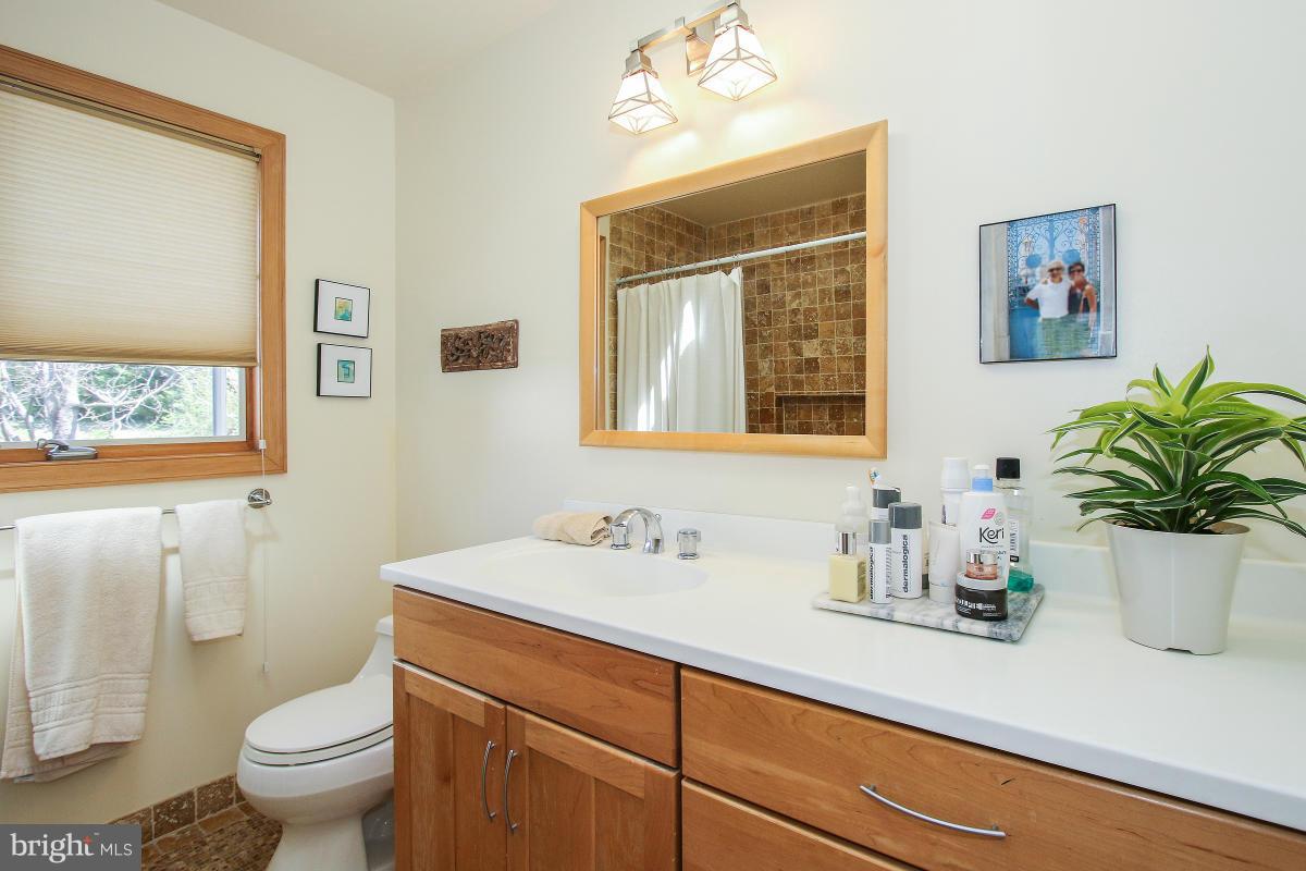 6503 East Halbert Road Bethesda, MD 20817 - Photo 16 of 30 Bath (Master)