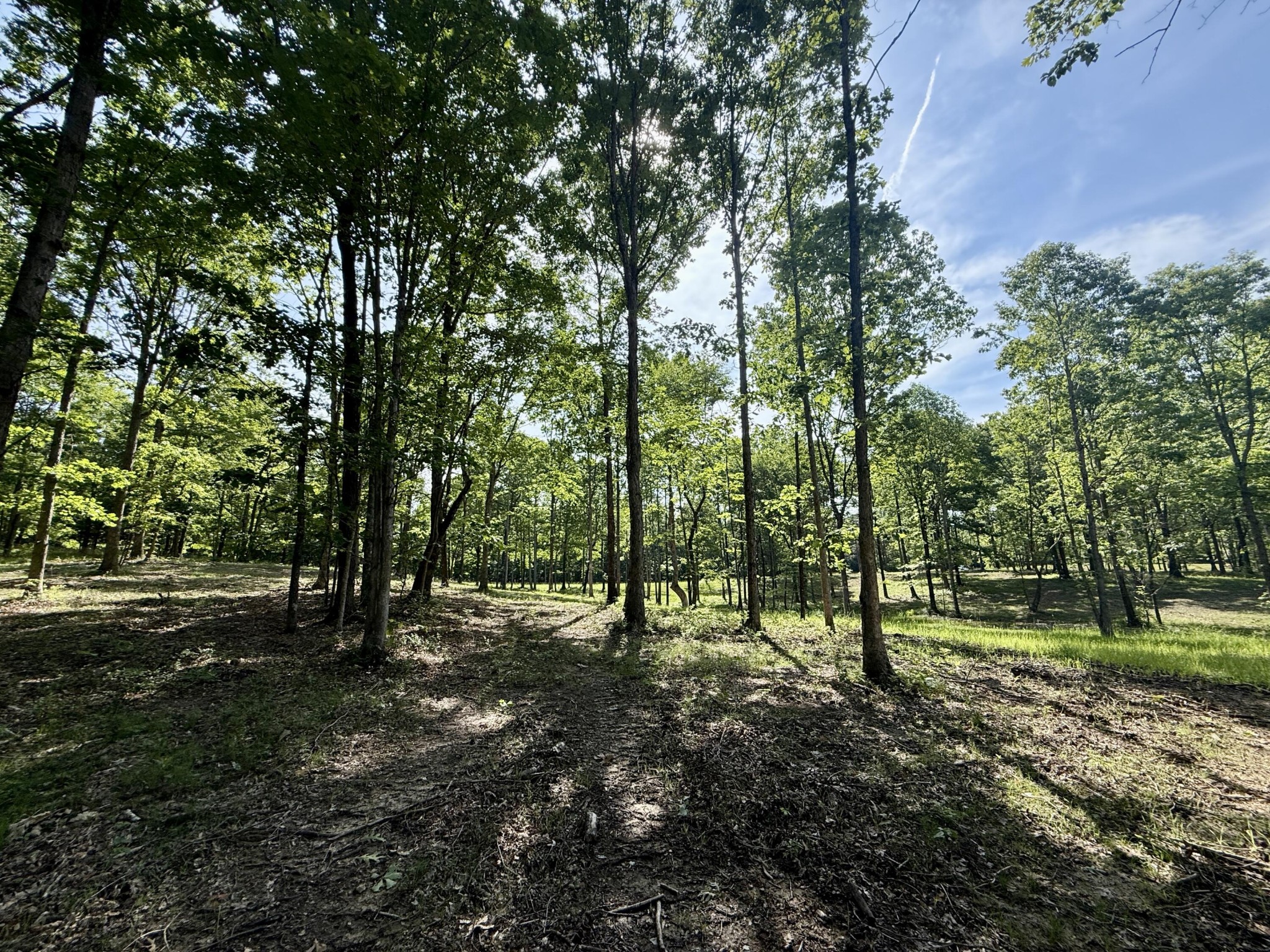 6 Hobbstown Road Dunlap, TN 37327 - Photo 9 of 22 Gallery Image 9