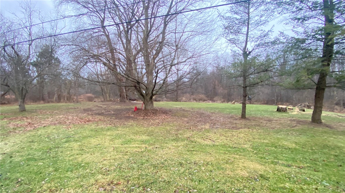 996 Mothersill Road Potter, NY 14544 - Photo 30 of 32