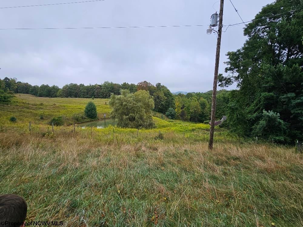 5196 Eden Road Rock Cave, WV 26234 - Photo 16 of 43 Gallery Image 16